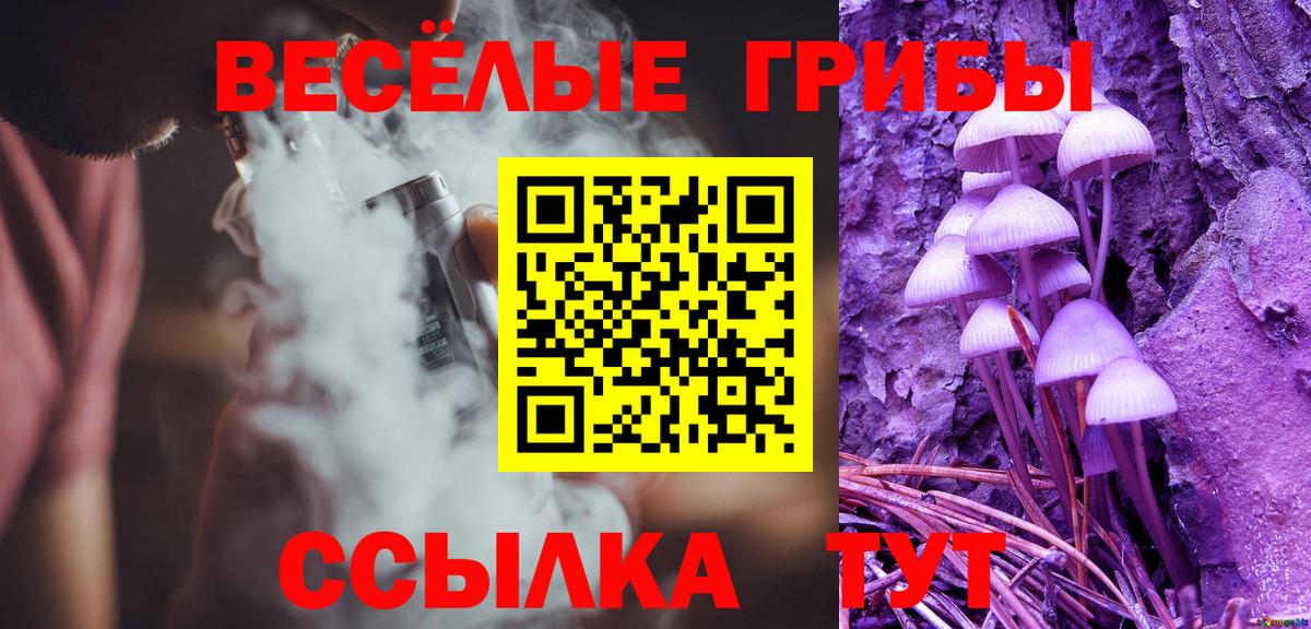 Псилоцибиновые грибы Cubensis Ртищево