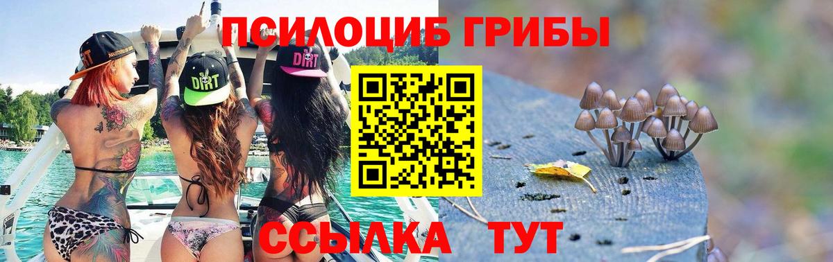 Галлюциногенные грибы Magic Shrooms  Вход с VPN  Псилоцибиновые грибы Psilocybine cubensis  Ртищево 